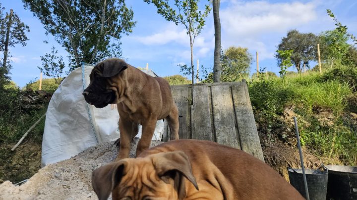 WhatsApp Image 2023-06-15 at 19.28.40 (2)