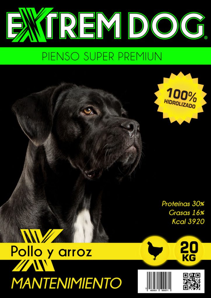 El precio de un Cane Corso en España