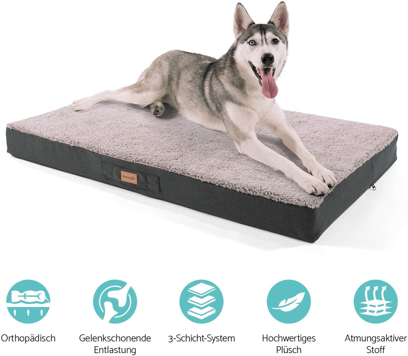¿Qué cama comprar para mi perro?
