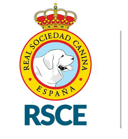 Logo RSCE